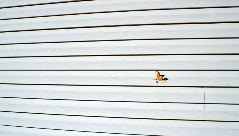 Licensed Repair Specialists